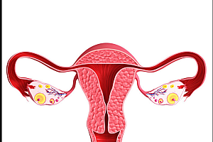 保养卵巢多吃五中水果-女人卵巢不好吃什么补卵巢最好