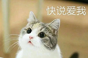 漂亮小姐姐不敢撩,不会撩,那是你没看到这篇文章|聊天干货