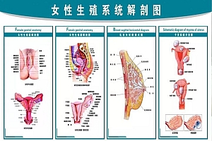宫寒宫冷】你还想冷冰冰的吗?
