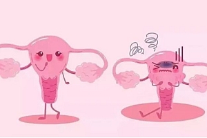 【趣聊】做了私密整形是什么体验?