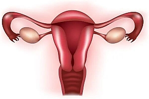 卵巢早衰危害大!不想卵巢早衰,这6种预防措施要知道