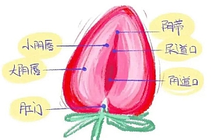 女人私密衰老的9大症状,你中招了吗?