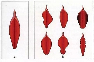 世界很大,幸福很小,别让Y唇不美观,影响了你的性福