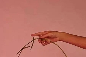 内裤总是湿?小心下面长了这东西!