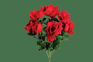 如何选择私密漂红方式?