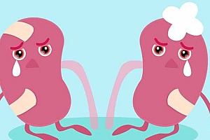 乌骨鸡-乌骨鸡的功效与作用