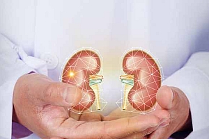 菟丝子炖鹿肉-菟丝子炖鹿肉做法