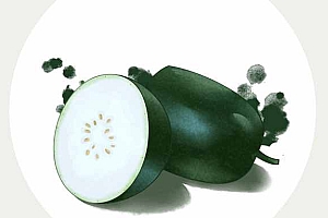 冬瓜的资料-冬瓜的介绍