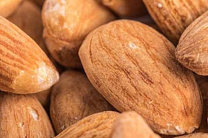 杏仁的资料-杏仁简介