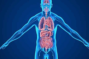 既病防变-既病防变主要指两点