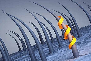 脱发吃哪三种维生素