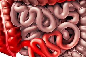 齿状线有何临床意义?