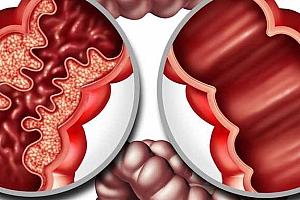 肛门直肠的神经是怎么分布