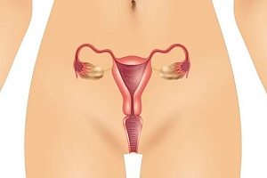 答疑┃产后盆底康复是不是智商税?