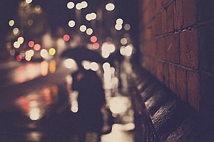 深情不及久伴,厚爱无需多言