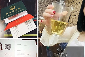广告 正宗福鼎白茶多钱一斤?