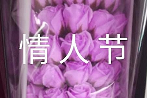 2024年精选情人节的语录150句