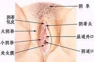 10种让女人瞬间达到性高潮的性姿势技巧