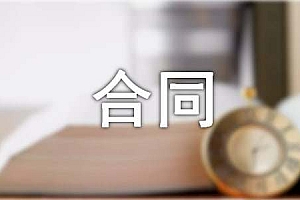 租赁物资合同精选1篇