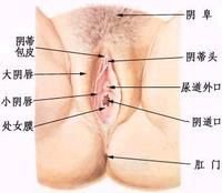 334f8618fb84faddc8816e26ecc55eed